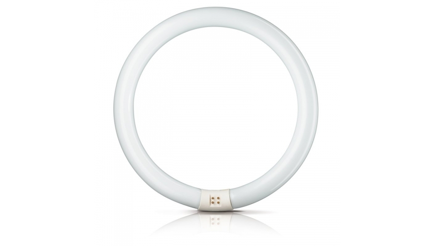 Люминесцентная лампа G10q SYLVANIA FC 22/ 865 C G10q 216mm 6500K Люминесцентная лампа G10q SYLVANIA FC 22/ 865 C G10q 216mm 6500K