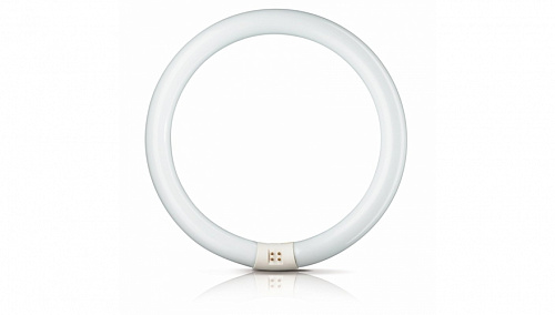 Люминесцентная лампа G10q OSRAM L 32/ 840 C G10q 307mm 4000K Люминесцентная лампа G10q OSRAM L 32/ 840 C G10q 307mm 4000K