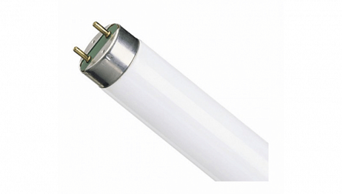 Люминесцентная лампа FA6 OSRAM L65/640 XL Fa6 T12 1484mm 4000K Люминесцентная лампа FA6 OSRAM L65/640 XL Fa6 T12 1484mm 4000K