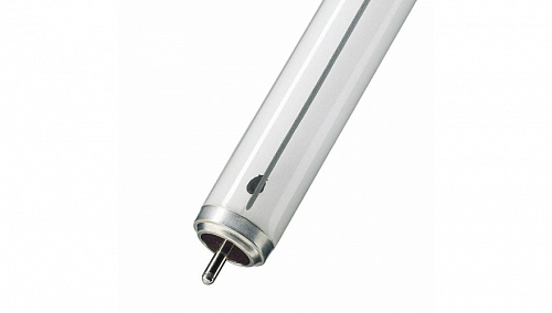 Люминесцентная лампа FA6 PHILIPS TL-XXL 15W/33-640 FA6 Люминесцентная лампа FA6 PHILIPS TL-XXL 15W/33-640 FA6