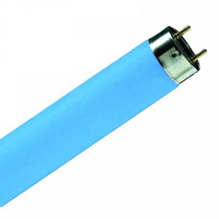 Люминесцентная лампа G13 OSRAM L18/67 G13 400lm 390-520nm d26x590 синяя Люминесцентная лампа G13 OSRAM L18/67 G13 400lm 390-520nm d26x590 синяя